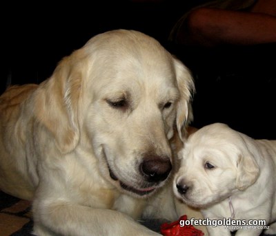 mum and babe